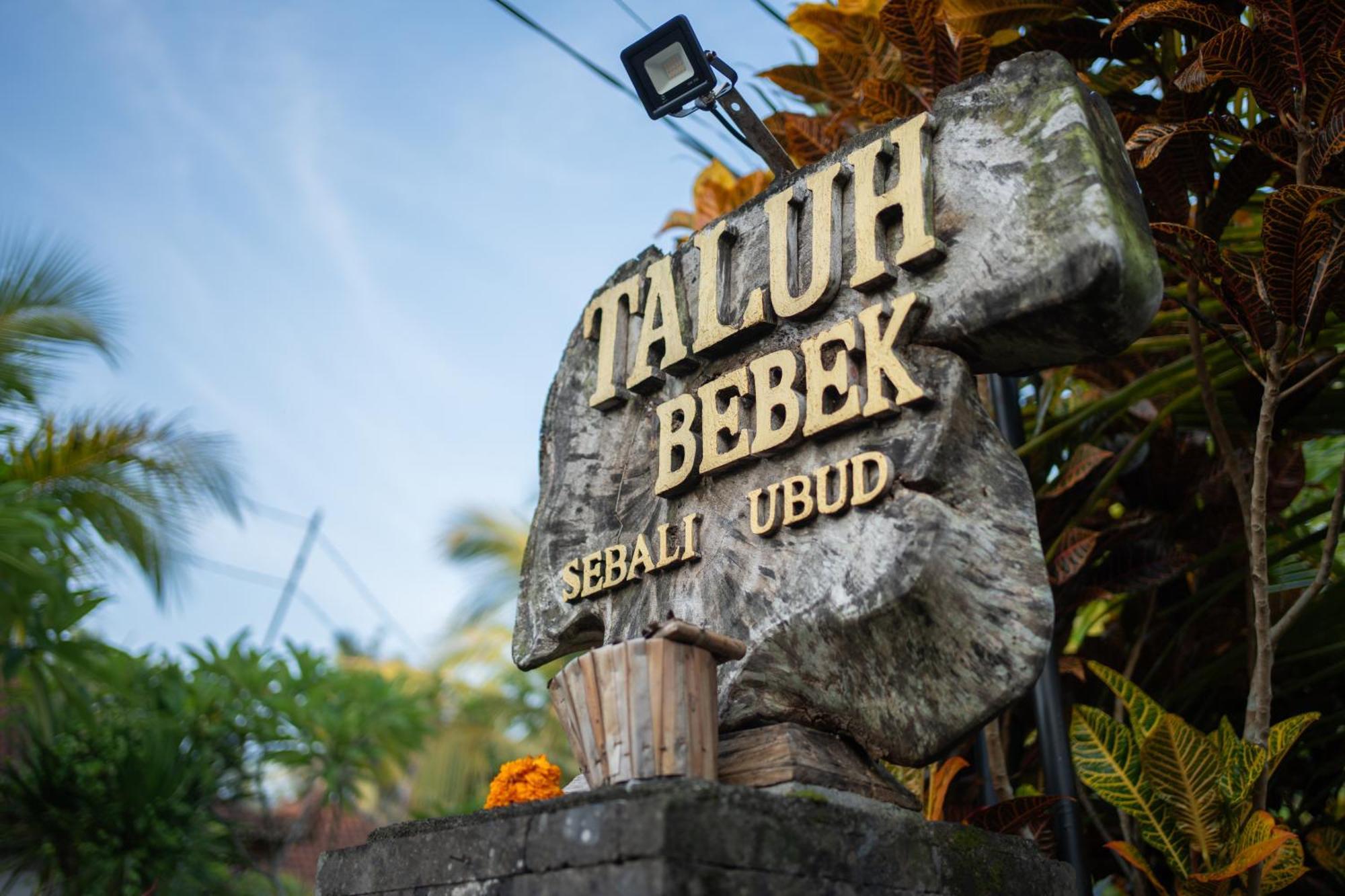 Taluh Bebek Ubud Private Villas Exterior photo